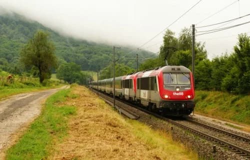 850222DSC04235.webp