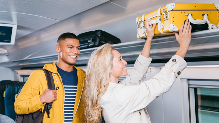 Eurostar Standard luggage1