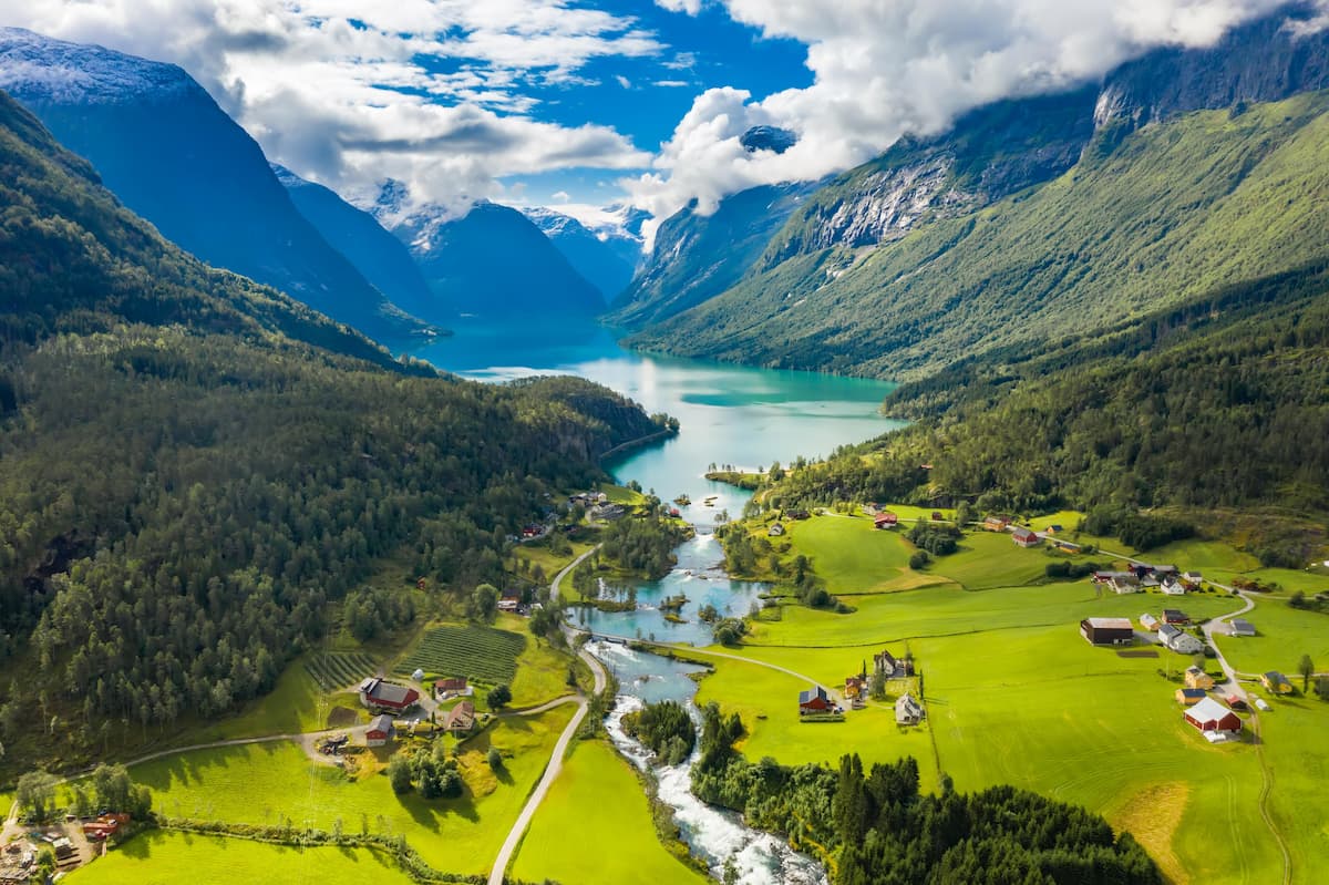 Fjord Safari 3