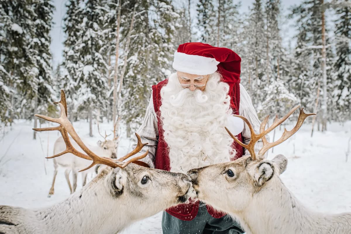 santa_claus_finland_foundation-104-ezgif.com-webp-to-png-converter.webp