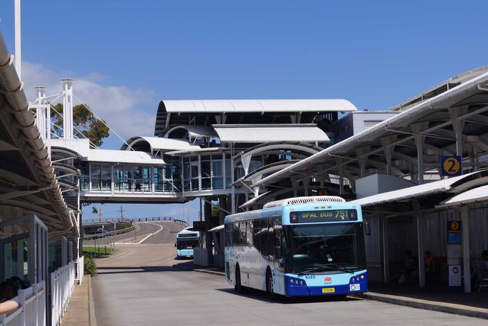 NSW buses